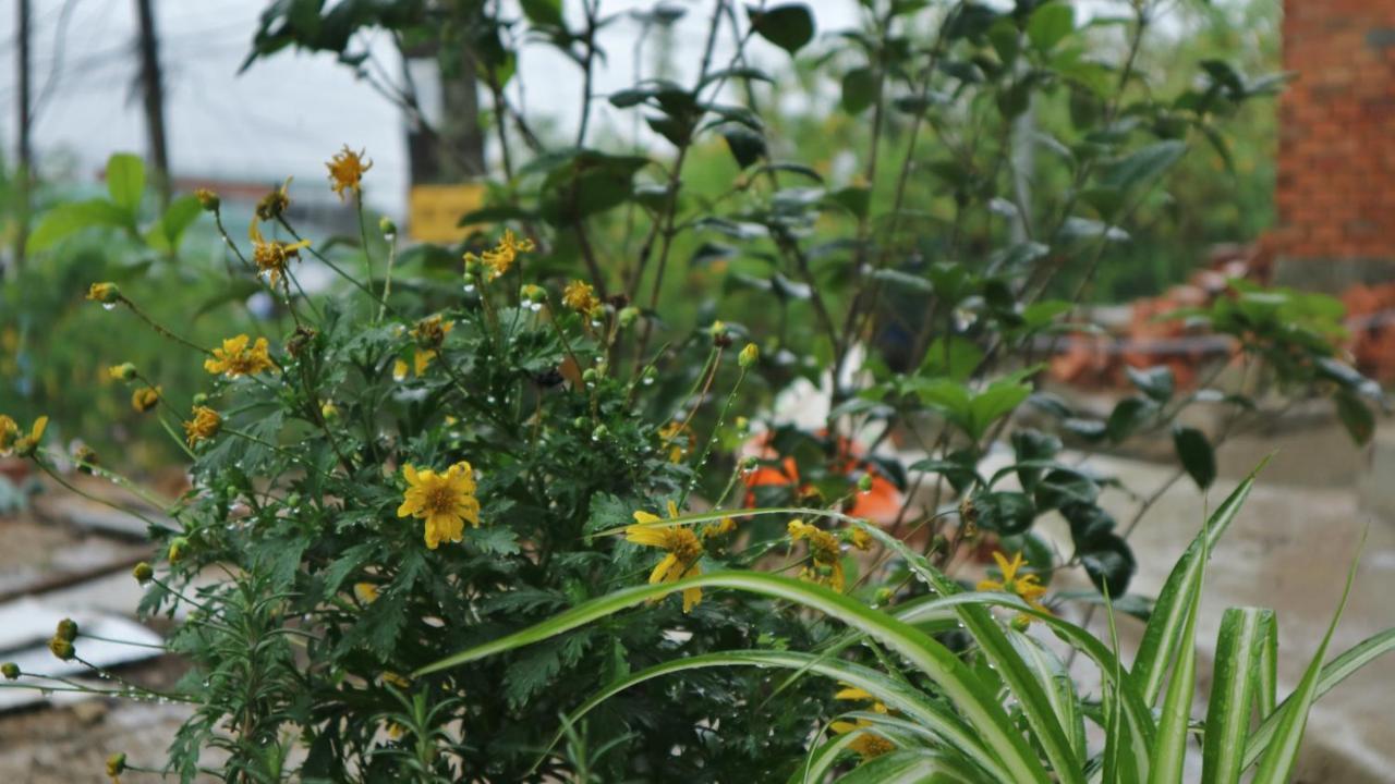 Komori House Bed & Breakfast Da Lat Exterior photo